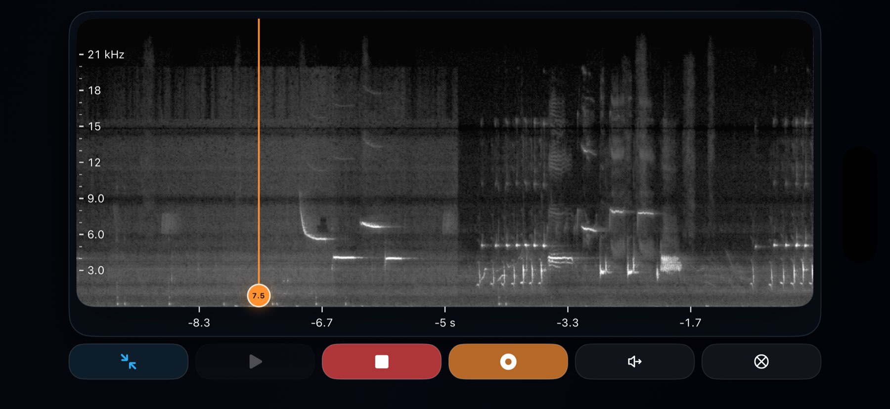 Chirps on iPhone Landscape, screenshot 7